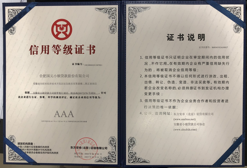合肥國元小貸公司獲評AAA信用等級1.jpg